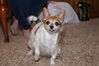 Filename=20181225_009.jpg
Filesize=340KiB
Dimensions=2047x1360
Date added=Feb 26, 2019 20181225_009.jpg