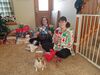 Filename=20181225_016.jpg
Filesize=723KiB
Dimensions=2048x1536
Date added=Feb 26, 2019 20181225_016.jpg