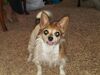 Filename=20181225_044.jpg
Filesize=437KiB
Dimensions=2048x1536
Date added=Feb 26, 2019 20181225_044.jpg