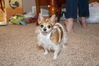 Filename=20181225_046.jpg
Filesize=414KiB
Dimensions=2047x1360
Date added=Feb 26, 2019 20181225_046.jpg
