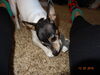 Filename=20181225_058.jpg
Filesize=517KiB
Dimensions=2048x1536
Date added=Feb 26, 2019 20181225_058.jpg