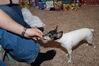 Filename=20181225_061.jpg
Filesize=492KiB
Dimensions=2047x1360
Date added=Feb 26, 2019 20181225_061.jpg