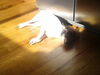 Filename=20181225_135a.jpg
Filesize=209KiB
Dimensions=2048x1536
Date added=Jul 26, 2021 20181225_135a.jpg