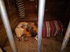 Filename=20181226_013.jpg
Filesize=434KiB
Dimensions=2048x1536
Date added=Mar 15, 2019 20181226_013.jpg