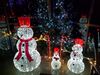 Filename=20181227_007.jpg
Filesize=646KiB
Dimensions=2048x1536
Date added=Mar 15, 2019 20181227_007.jpg