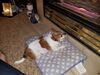 Filename=20181228_001.jpg
Filesize=573KiB
Dimensions=2048x1536
Date added=Mar 15, 2019 20181228_001.jpg