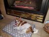 Filename=20181228_002.jpg
Filesize=500KiB
Dimensions=2048x1536
Date added=Mar 15, 2019 20181228_002.jpg