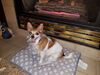 Filename=20181228_003.jpg
Filesize=544KiB
Dimensions=2048x1536
Date added=Mar 15, 2019 20181228_003.jpg