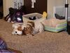 Filename=20181230_001.jpg
Filesize=447KiB
Dimensions=2048x1536
Date added=Mar 15, 2019 20181230_001.jpg