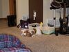 Filename=20181230_002.jpg
Filesize=479KiB
Dimensions=2048x1536
Date added=Mar 15, 2019 20181230_002.jpg