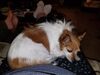 Filename=20181231_022.jpg
Filesize=548KiB
Dimensions=2048x1536
Date added=Mar 15, 2019 20181231_022.jpg