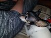 Filename=20181231_023.jpg
Filesize=578KiB
Dimensions=2048x1536
Date added=Mar 15, 2019 20181231_023.jpg