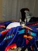 Filename=20190108_001.jpg
Filesize=414KiB
Dimensions=1536x2048
Date added=May 28, 2019 20190108_001.jpg