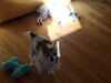 Filename=20190114_001.jpg
Filesize=295KiB
Dimensions=2048x1536
Date added=May 28, 2019 20190114_001.jpg
