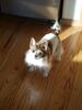 Filename=20190114_003.jpg
Filesize=346KiB
Dimensions=1536x2048
Date added=May 28, 2019 20190114_003.jpg