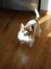 Filename=20190114_004.jpg
Filesize=346KiB
Dimensions=1536x2048
Date added=May 28, 2019 20190114_004.jpg