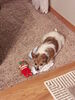 Filename=20190116_001.jpg
Filesize=560KiB
Dimensions=1536x2048
Date added=May 28, 2019 20190116_001.jpg