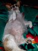 Filename=20190120_001.jpg
Filesize=480KiB
Dimensions=1536x2048
Date added=May 28, 2019 20190120_001.jpg