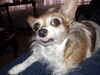 Filename=20190130_002.jpg
Filesize=590KiB
Dimensions=2048x1536
Date added=May 28, 2019 20190130_002.jpg