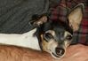 Filename=20190202_004.jpg
Filesize=283KiB
Dimensions=2047x1423
Date added=Jul 21, 2019 20190202_004.jpg
