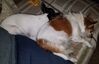 Filename=20190202_005.jpg
Filesize=526KiB
Dimensions=2047x1318
Date added=Jul 21, 2019 20190202_005.jpg