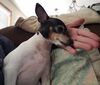 Filename=20190204_001.jpg
Filesize=1139KiB
Dimensions=1848x1578
Date added=Jul 21, 2019 20190204_001.jpg