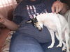 Filename=20190205_001.jpg
Filesize=611KiB
Dimensions=2048x1536
Date added=Jul 21, 2019 20190205_001.jpg
