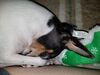 Filename=20190213_002.jpg
Filesize=527KiB
Dimensions=2048x1536
Date added=Jul 21, 2019 20190213_002.jpg