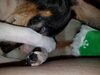 Filename=20190213_003.jpg
Filesize=431KiB
Dimensions=2048x1536
Date added=Jul 21, 2019 20190213_003.jpg