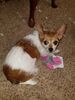 Filename=20190213_004.jpg
Filesize=714KiB
Dimensions=1536x2048
Date added=Jul 21, 2019 20190213_004.jpg