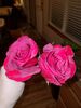 Filename=20190213_006.jpg
Filesize=300KiB
Dimensions=1536x2048
Date added=Jul 21, 2019 20190213_006.jpg