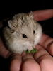Filename=20190214_001.jpg
Filesize=232KiB
Dimensions=1536x2048
Date added=Jul 26, 2021 20190214_001.jpg