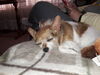 Filename=20190221_001.jpg
Filesize=479KiB
Dimensions=2048x1536
Date added=Jul 21, 2019 20190221_001.jpg