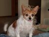 Filename=20190225_002.jpg
Filesize=327KiB
Dimensions=2048x1536
Date added=Jul 21, 2019 20190225_002.jpg