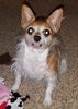 Filename=20190312_001.jpg
Filesize=431KiB
Dimensions=1459x2047
Date added=Jul 21, 2019 20190312_001.jpg