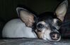 Filename=20190312_002.jpg
Filesize=342KiB
Dimensions=2048x1330
Date added=Jul 21, 2019 20190312_002.jpg