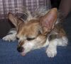 Filename=20190314_001.jpg
Filesize=1741KiB
Dimensions=1812x1650
Date added=Jul 21, 2019 20190314_001.jpg