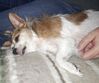 Filename=20190314_002.jpg
Filesize=520KiB
Dimensions=2047x1708
Date added=Jul 21, 2019 20190314_002.jpg