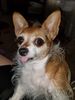 Filename=20190323_002.jpg
Filesize=492KiB
Dimensions=1536x2048
Date added=Jul 21, 2019 20190323_002.jpg
