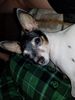 Filename=20190323_006.jpg
Filesize=349KiB
Dimensions=1536x2048
Date added=Jul 21, 2019 20190323_006.jpg