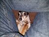 Filename=20190324_002.jpg
Filesize=831KiB
Dimensions=2048x1536
Date added=Jul 21, 2019 20190324_002.jpg