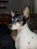 Filename=20190324_003.jpg
Filesize=399KiB
Dimensions=1536x2048
Date added=Jul 21, 2019 20190324_003.jpg