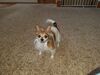 Filename=20190324_005.jpg
Filesize=737KiB
Dimensions=2048x1536
Date added=Jul 21, 2019 20190324_005.jpg