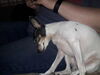 Filename=20190327_001.jpg
Filesize=406KiB
Dimensions=2048x1536
Date added=Jul 21, 2019 20190327_001.jpg
