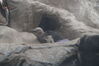 Filename=20190328_019.jpg
Filesize=253KiB
Dimensions=2047x1360
Date added=Jul 21, 2019 20190328_019.jpg