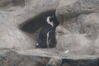Filename=20190328_020.jpg
Filesize=240KiB
Dimensions=2047x1360
Date added=Jul 21, 2019 20190328_020.jpg