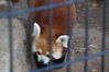 Filename=20190328_027.jpg
Filesize=330KiB
Dimensions=2047x1360
Date added=Jul 21, 2019 20190328_027.jpg