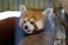 Filename=20190328_032.jpg
Filesize=309KiB
Dimensions=2047x1360
Date added=Jul 21, 2019 20190328_032.jpg