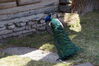 Filename=20190328_034.jpg
Filesize=637KiB
Dimensions=2047x1360
Date added=Jul 21, 2019 20190328_034.jpg