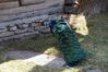 Filename=20190328_035.jpg
Filesize=607KiB
Dimensions=2047x1360
Date added=Jul 21, 2019 20190328_035.jpg